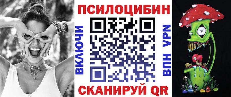 как найти   Черноголовка  Галлюциногенные грибы Psilocybe 